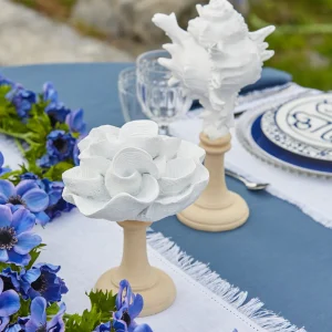 Decorazione Conchiglia bianca con base