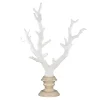 Decorazione Corallo bianco con base