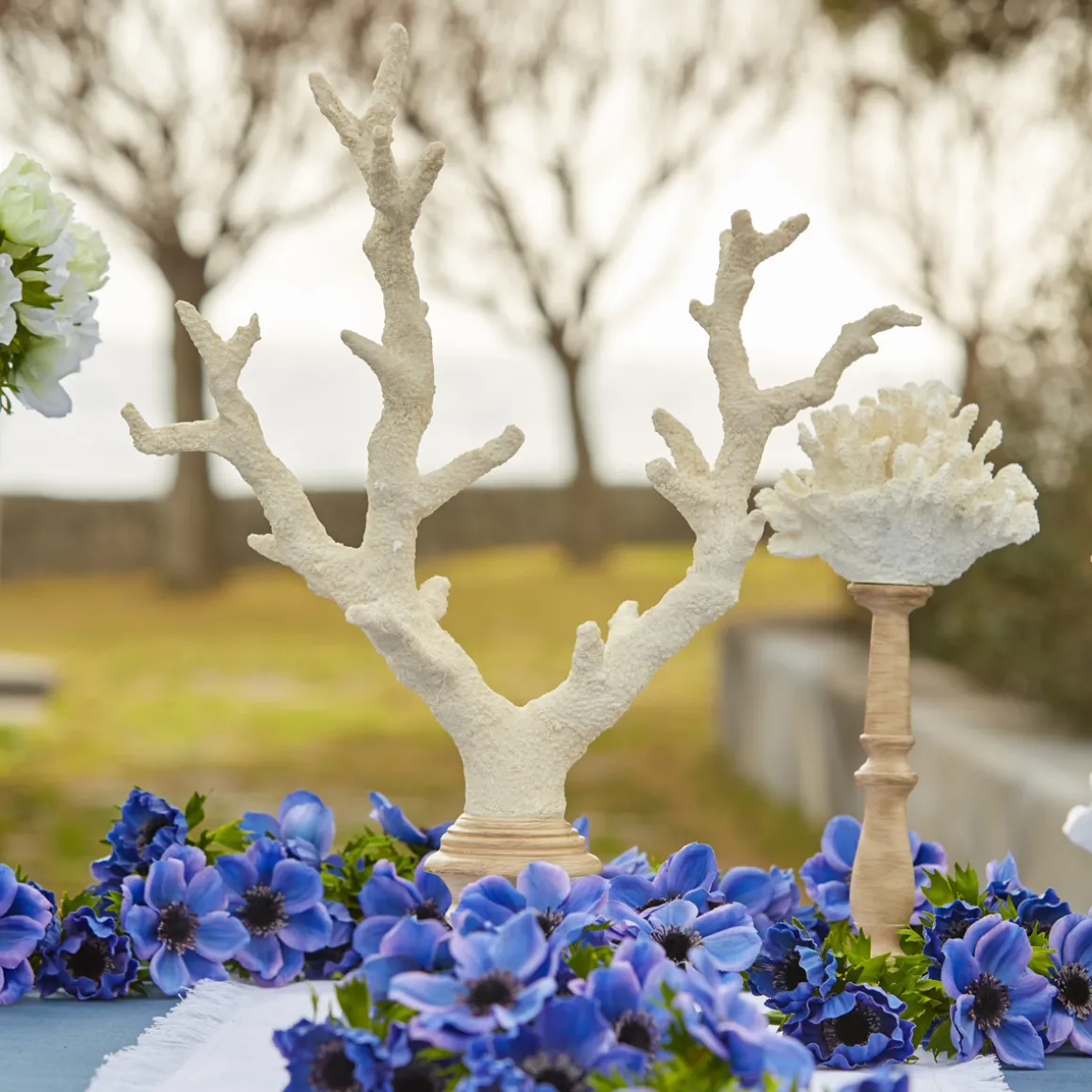 decorazione_corallo_bianc_1-2.webp Decorazione Corallo bianco con base